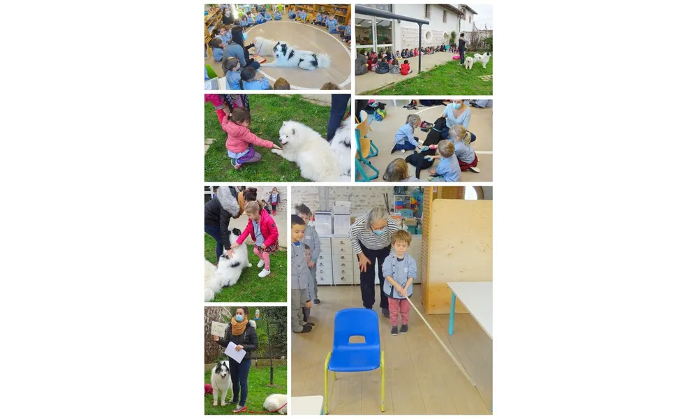Médiation animale en Maison des Enfants