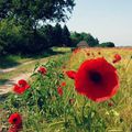 Vivre à la campagne