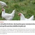 viens poupoule...