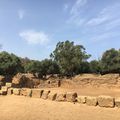 Algérie - les ruines de Tipaza