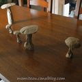Les champignons poussent sur les tables