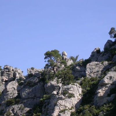 LE 29 MAI 2009 - LA ROQUEBRUSSANE