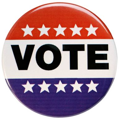 COMMENT FAIT-ON POUR VOTER ?