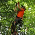 Concours AT partie pratique arboriste-grimpeur, bûcheronnage du mardi 17 mai 2022. 