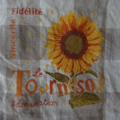 Sal Tournesol Lilipoint => terminé