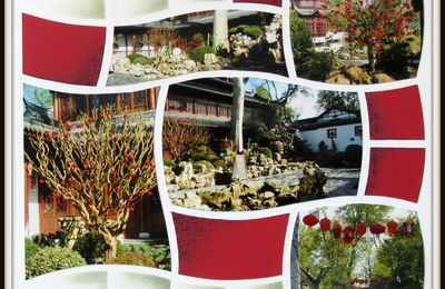 Pairi daiza et son jardin chinois.