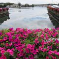 La Wild Atlantic Way ou la Côte Sauvage de l'Irlande - de Kinsale à Bantry