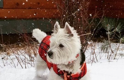 Neige et verglas la Lorraine en vigilance,