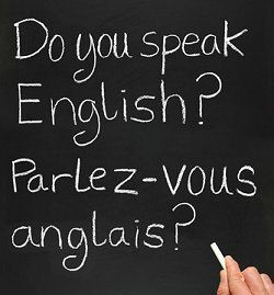 Rant: the Lyon doesn't speak English!