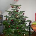 Sapin n°4