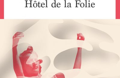  Les grands romans de 2023 : Hôtel de la folie, David Le Bailly 