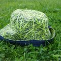 bien chapeauté