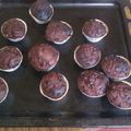 muffins au chocolat et pépites de chocolat