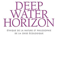 Deepwater Horizon : Ethique de la nature et philosophie de la crise écologique