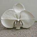 Marc Quinn, "The Evolution of Desire", 2009