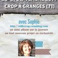 Crop à Granges (71)