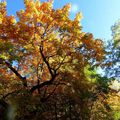 Chronique du bel automne haut-alpin