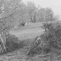 Près de Bonlieu, Peyrat La Nonière