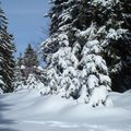 Ballade de cette après-midi