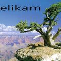 Kelikam