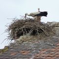 "MADE IN ALSACE" : Les tissages GANDER...