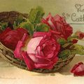 Cartes Postales Anciennes : Les roses de Catharina Klein...