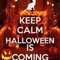 HALLOWEEN IS COMING !