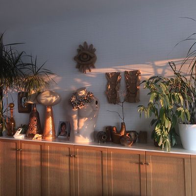 Les jours grandissent (un peu)