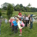 Marche au Mont Vouillot 03/07/2012