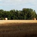 Après la moisson