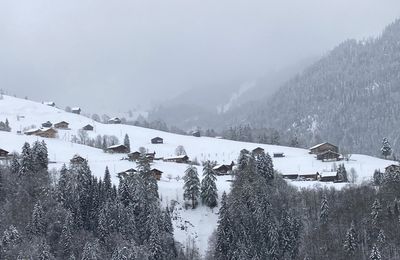 Le temps des fleurs - Fin des chutes de neige et de divers objets