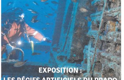 Exposition : les récifs artificiels du Prado - Marseille - Exhibition: the artificial reefs of the Prado