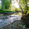 LE SITE DU MOULIN VERT APPELÉ A DEVENIR UNE AIRE TERRESTRE ÉDUCATIVE.