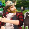 Aujourd'hui parlons un peu des sims 4 et du futur sims 5 !