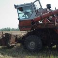 Récolte 2010 - Baisse possible des disponibilités de blé et de colza en Ukraine