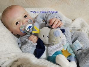 TOM du Kit Realborn Pearl Awake de Bountiful Baby 