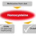 Homocystéine, cholestérol et levure de riz rouge ! 