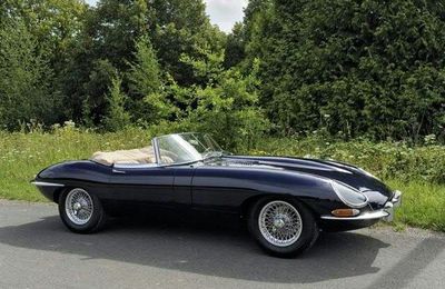 Shopping de Jaguar @ CHEVAU LEGERS ENCHERES