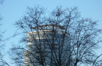 POUR COMMENCER CETTE NOUVELLE SEMAINE...