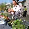 Marché aux fleurs Andernos