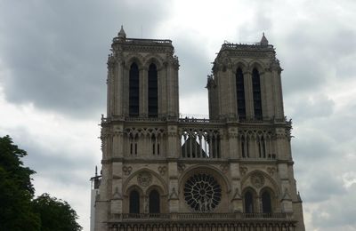 Cathédrale Notre-Dame de Paris