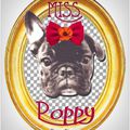 Collection °Miss Poppy°