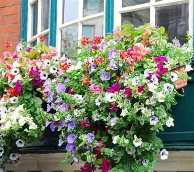 Le 2 juillet 1791 à Nogent-le-Rotrou : pas de pots de fleurs sur les fénêtres.