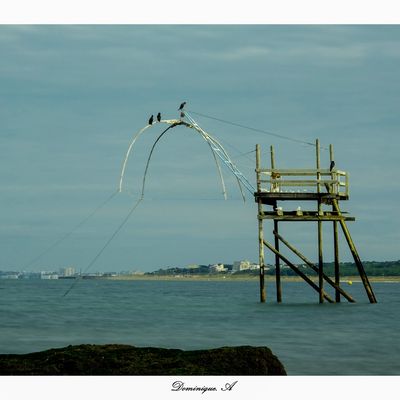 Les pêcheries de Gohaud.