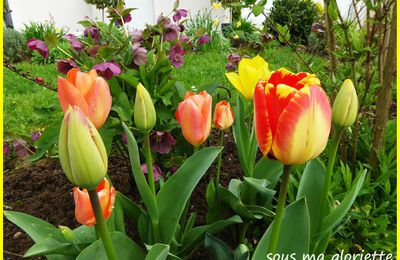 Printemps au jardin