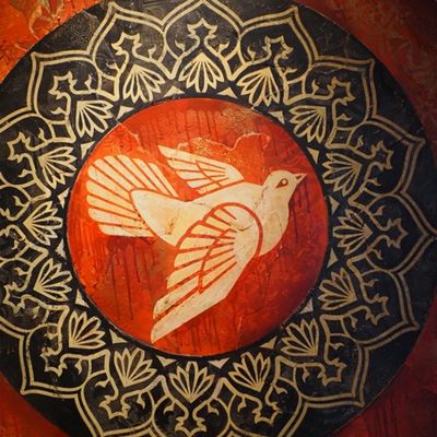 OBEY - Shepard FAIREY 🖤🤩🕊️