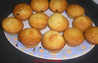 assortiment de muffins ( pâte de spéculos, raisins, fruits confits, vanille)