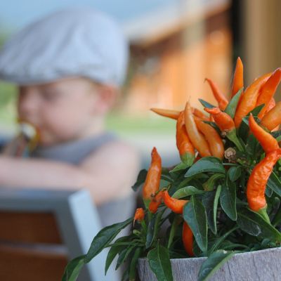 Notre petit paradis ...