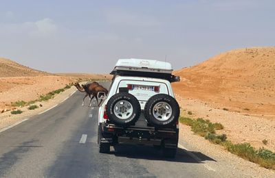 J4 Descente plein Sud sur Merzouga