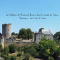 Histoire du Château de Montreuil-Bonnin dans le comté du Poitou.